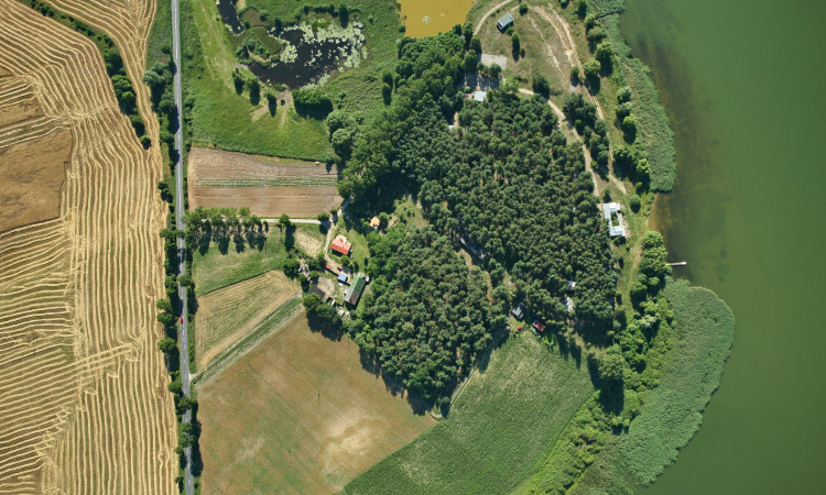 Cách chọn lô đất đẹp trong dự án?