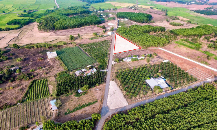 Dự án trọng điểm cảng hàng không Quốc tế Long Thành sắp sửa khởi công giai đoạn 1 Dự án trọng điểm cảng hàng không Quốc tế Long Thành sắp sửa khởi công giai đoạn 1